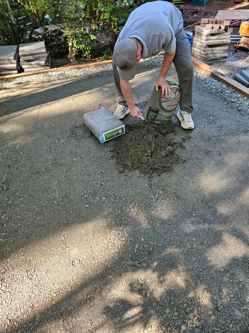 Paver setting